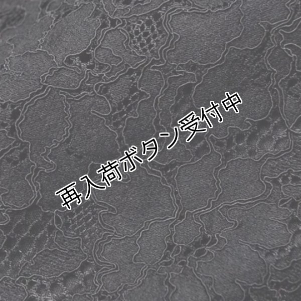 画像8: 【2022 SPRING シャルル】 50%OFF スプリング レースジャケット (8)