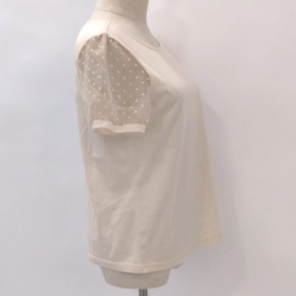 画像5: 【 LaLa 50%OFFセール】ドッド袖のカットソー  送料220円代引は通常送料 　 (5)