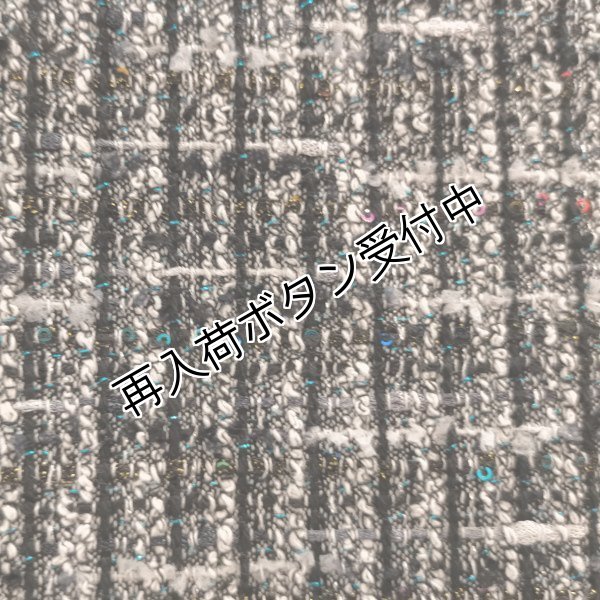 画像4: 【SuperBeauty  】パールビーズ使いツイード素材のスカート (4)