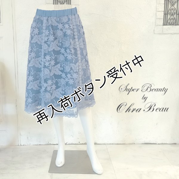 画像1: 【●半額以下！超特価！！● スーパービューティー】オーガンジー刺繍レーススカート (1)