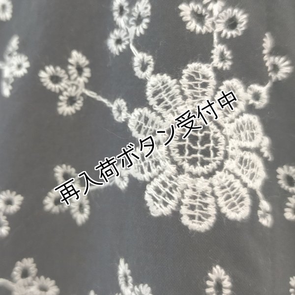 画像12: 【今週の追加 《半額以下+クーポン＋POINT！》SuperBeauty 】花柄刺しゅう　半袖ワンピース (12)