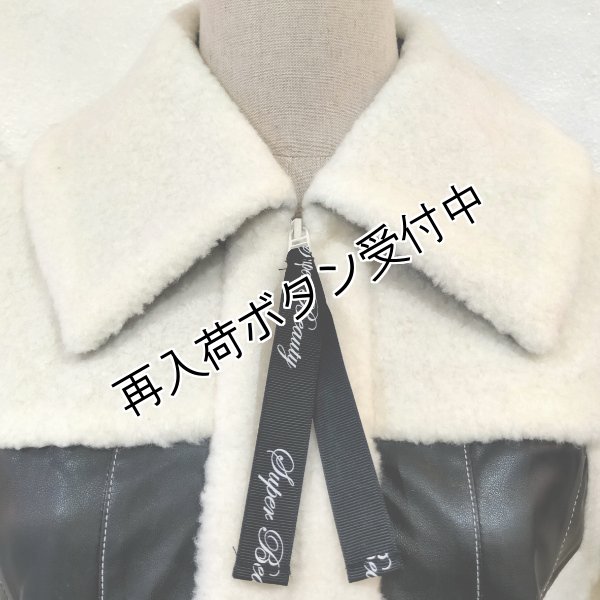 画像3: 【30,000円 →超特価 9900円＜在庫限り＞クーポン/POINT不可】ボア×合皮素材のジップアップジャケット (3)