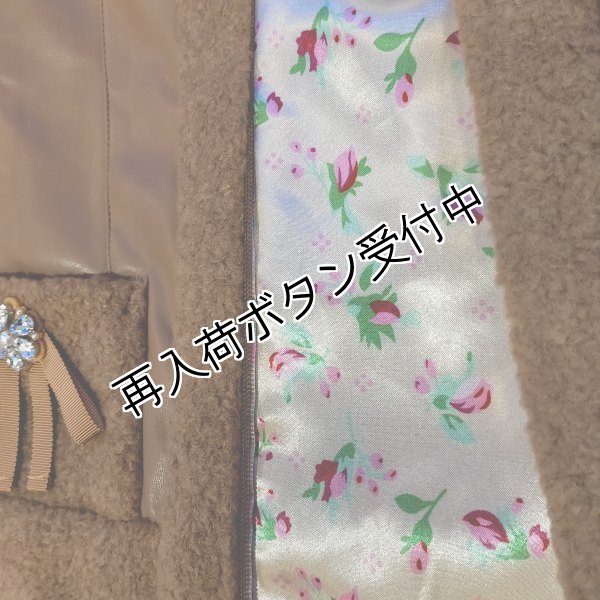 画像18: 【30,000円 →超特価 9900円＜在庫限り＞クーポン/POINT不可】ボア×合皮素材のジップアップジャケット (18)