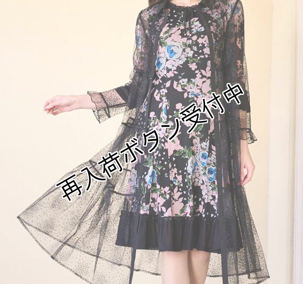 画像1: 【今週の追加 超特価 4,900円＜在庫限り＞クーポン/POINT不可】チュールドット柄ロングブラウス《送料220円代引は通常送料》 (1)