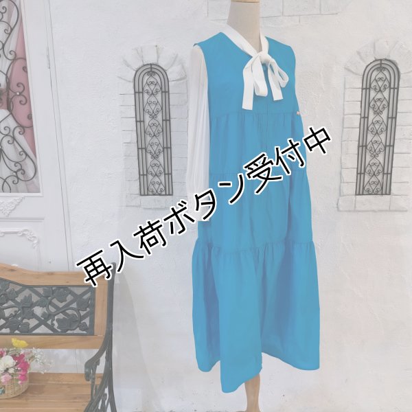 画像7: 【SuperBeauty  】タフタ素材ギャザー切替ロングジレ (7)