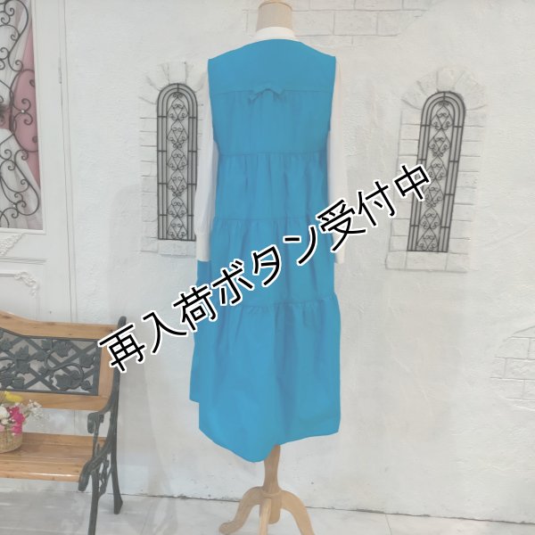 画像10: 【SuperBeauty  】タフタ素材ギャザー切替ロングジレ (10)