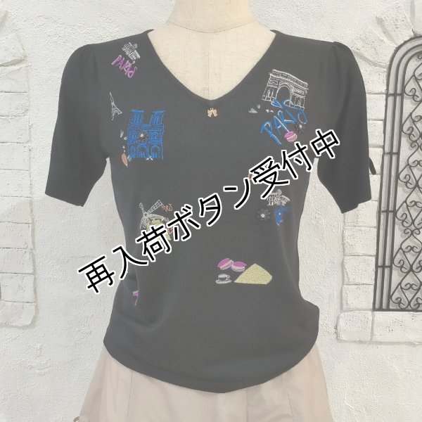 画像8: 【15,000円 →超特価 2900円＜在庫限り＞クーポン/POINT不可】Paris刺繍入り半袖ニット《送料220円代引は通常送料》 (8)