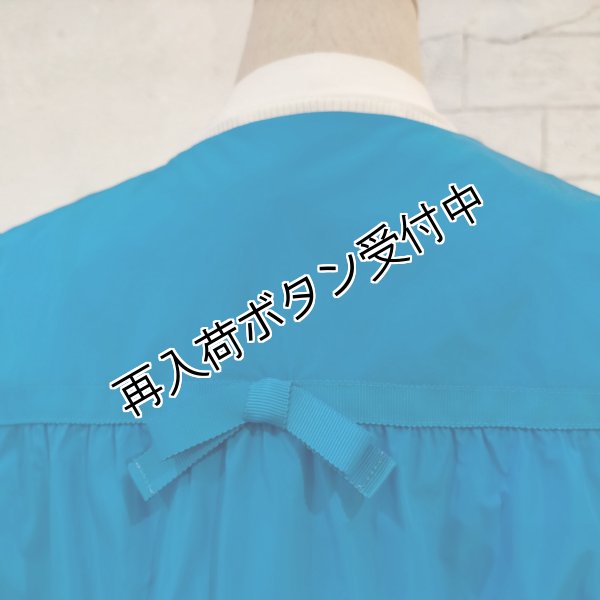 画像11: 【SuperBeauty  】タフタ素材ギャザー切替ロングジレ (11)