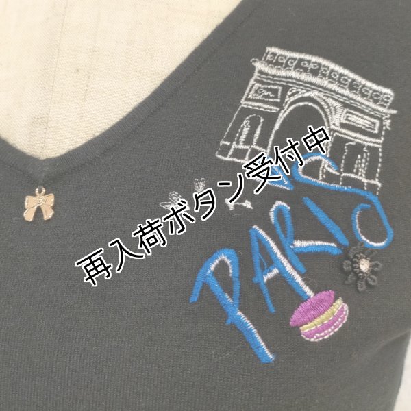 画像9: 【15,000円 →超特価 2900円＜在庫限り＞クーポン/POINT不可】Paris刺繍入り半袖ニット《送料220円代引は通常送料》 (9)