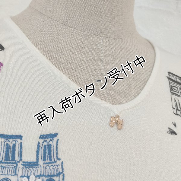 画像2: 【15,000円 →超特価 2900円＜在庫限り＞クーポン/POINT不可】Paris刺繍入り半袖ニット《送料220円代引は通常送料》 (2)