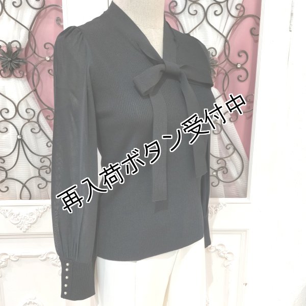 画像10: 【15,000円 →超特価 4900円＜在庫限り＞クーポン/POINT不可】袖パワーネット素材ポウタイニットPO《送料220円代引は通常送料》 (10)