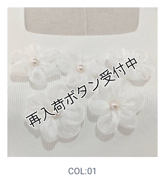 画像3: 【SuperBeauty  】胸元花モチーフ付ノースリーブニット (3)