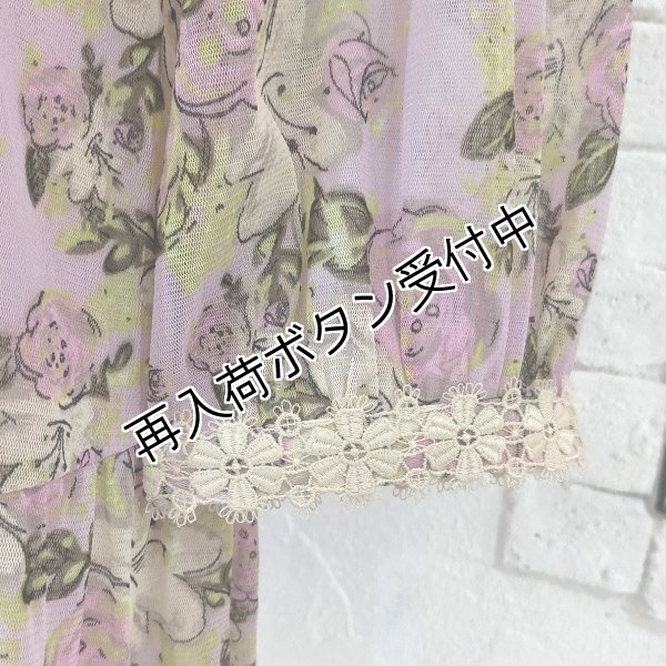 画像3: 【SuperBeauty  】バラプリントパワーネット素材チュニック (3)