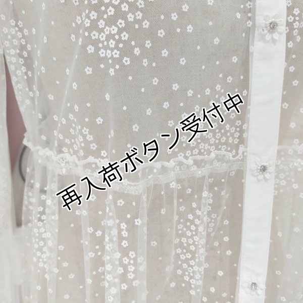 画像11: 【今週の追加 超特価 4,900円＜在庫限り＞クーポン/POINT不可】チュールドット柄ロングブラウス《送料220円代引は通常送料》 (11)