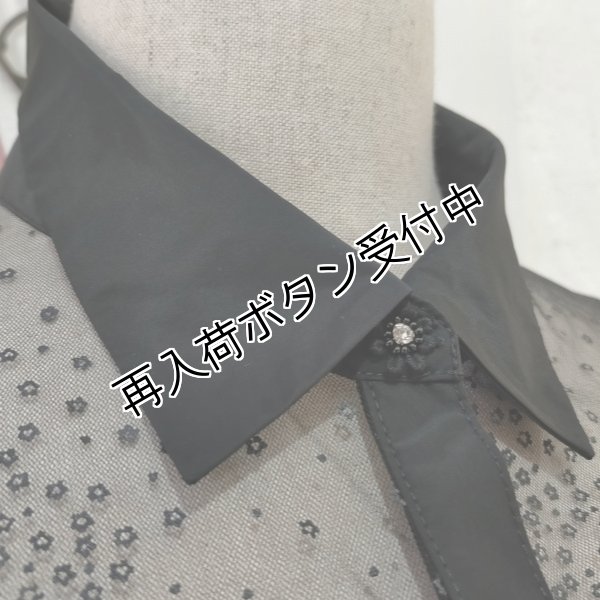 画像3: 【今週の追加 超特価 4,900円＜在庫限り＞クーポン/POINT不可】チュールドット柄ロングブラウス《送料220円代引は通常送料》 (3)