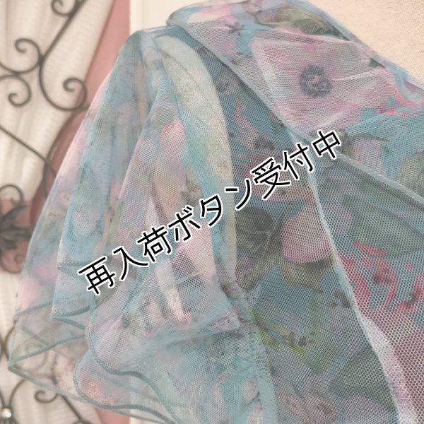 画像4: 【SuperBeauty  】パワーネット素材フラワープリントワンピース (4)