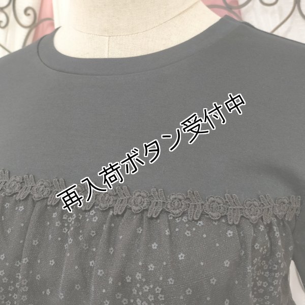 画像3: 【SuperBeauty  】ドット柄オーガンジー切替チュニックＴシャツ《送料220円代引は通常送料》 (3)