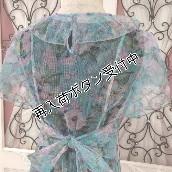 画像8: 【SuperBeauty  】パワーネット素材フラワープリントワンピース (8)