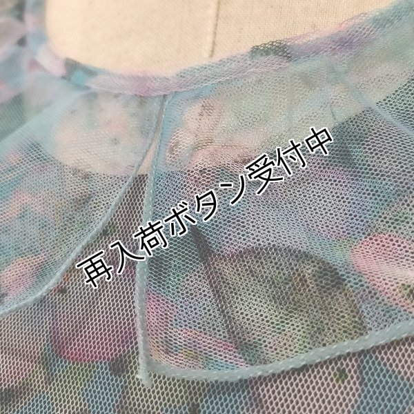 画像3: 【SuperBeauty  】パワーネット素材フラワープリントワンピース (3)