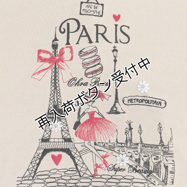 画像5: 【SuperBeauty  】胸元Paris刺繍袖パワーネット素材切替ニット (5)