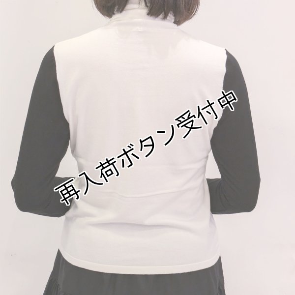 画像4: 【SuperBeauty  】胸元Paris刺繍袖パワーネット素材切替ニット (4)