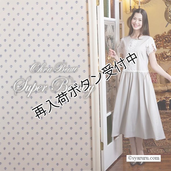 画像1: 【 SuperBeauty 50％OFF】前立てレース使いのロングワンピース (1)
