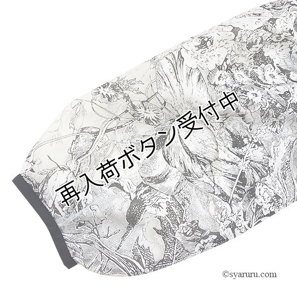 画像3: 【SuperBeauty  】オパール加工オーガンジー素材ショートパーカー (3)