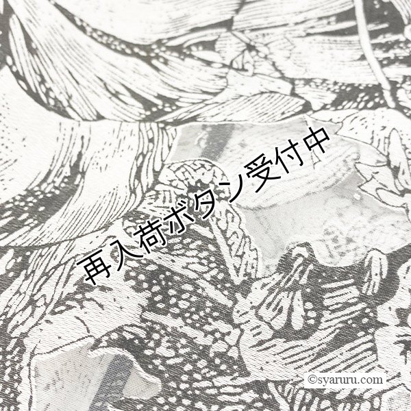 画像7: 【SuperBeauty  】オパール加工オーガンジー素材ショートパーカー (7)