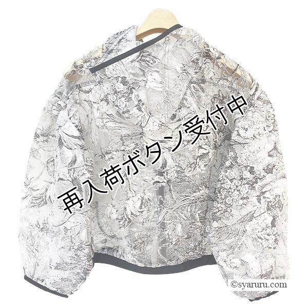 画像2: 【SuperBeauty  】オパール加工オーガンジー素材ショートパーカー (2)