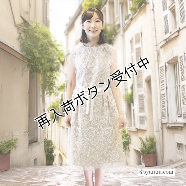 画像2: 【SuperBeauty  】レース素材ノースリーブワンピース (2)