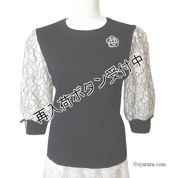 画像1: 【 SuperBeauty 50％OFF】配色刺繍袖切替リブ編みニット (1)