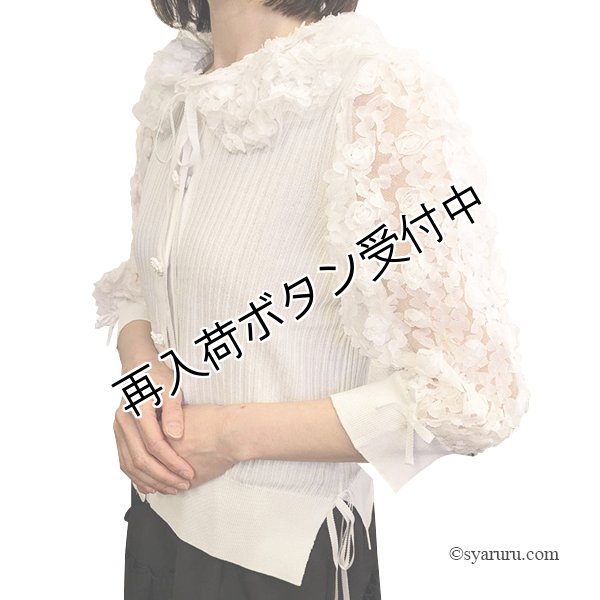 画像4: 【今週の追加 《半額以下+クーポン＋POINT！》SuperBeauty 】2511026 (4)