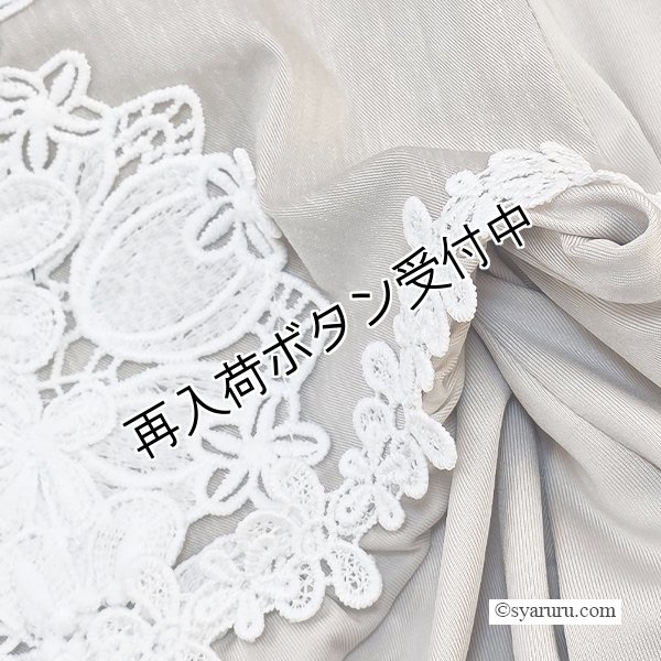 画像14: 【SuperBeauty  】前立てレース使いのロングワンピース (14)