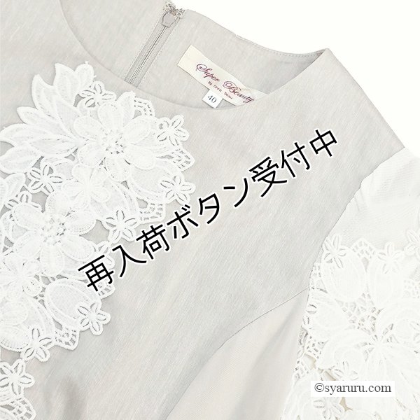 画像9: 【SuperBeauty  】前立てレース使いのロングワンピース (9)