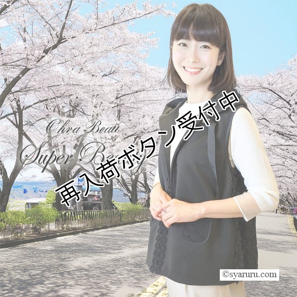 画像1: 【夏のセール 30%OFF+クーポン+ポイント 】後ろ見ごろレース切替ダンボールニットベスト (1)