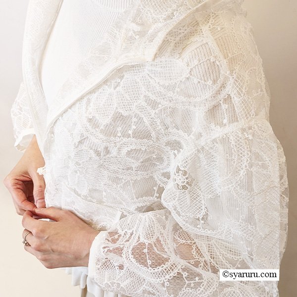 画像2: 【SuperBeauty  】シアー素材ショートパーカー (2)