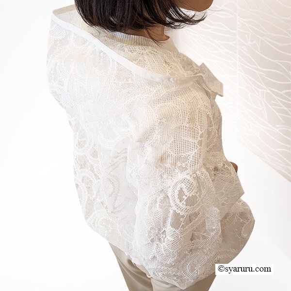 画像3: 【SuperBeauty  】シアー素材ショートパーカー (3)