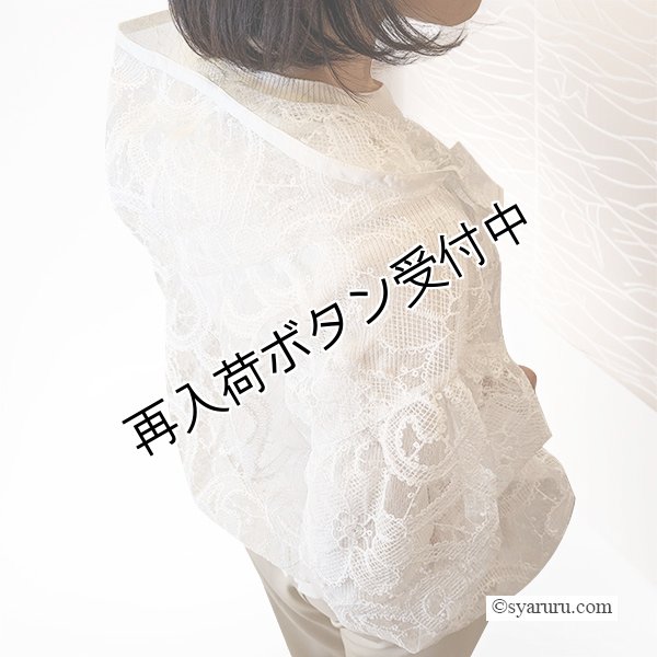 画像3: 【SuperBeauty  】シアー素材ショートパーカー (3)