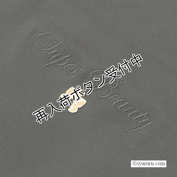 画像10: 【《半額以下+クーポン＋POINT！》SuperBeauty 】花モチーフ付袖レース切替チュニックTシャツ《送料220円代引は通常送料》 (10)