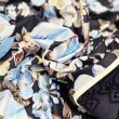 画像7: 【 SuperBeauty 50％OFF】脇レース切替プリントワンピース (7)