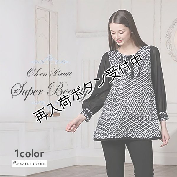 画像1: 【新作 SuperBeauty 2025秋冬】袖パワーネット素材モノトーン柄チュニックカットソー (1)