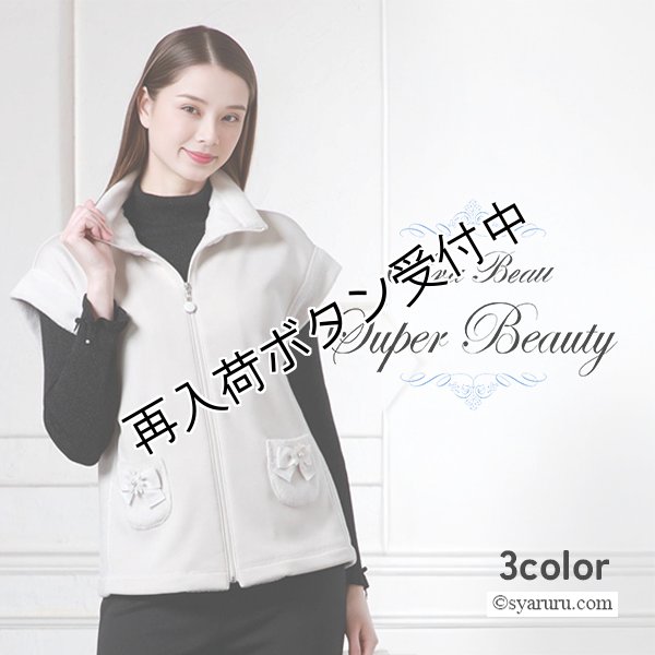 画像1: 【新作 SuperBeauty 2025秋冬】裏起毛素材ベスト (1)
