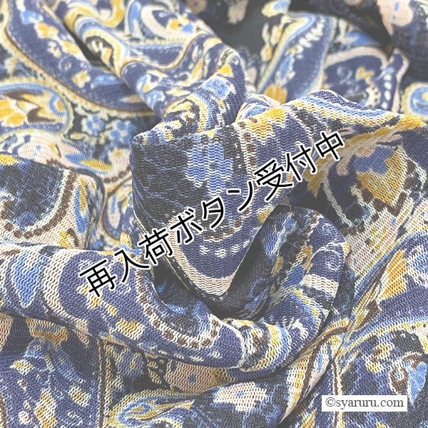 画像6: 【《半額以下！》SuperBeauty 2025秋冬】ペイズリー柄ワンピース (6)