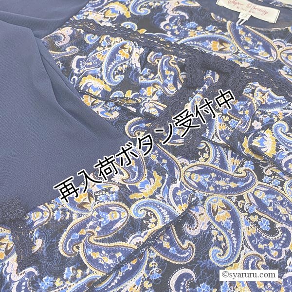 画像5: 【《半額以下！》SuperBeauty 2025秋冬】ペイズリー柄ワンピース (5)