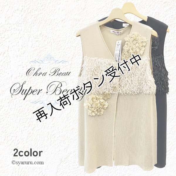 画像1: 【《半額以下！》SuperBeauty 2025秋冬】●前立て立体モチーフ使いニットジレ (1)