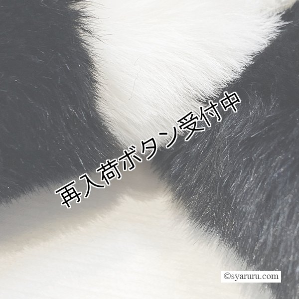 画像6: 【あわせて買うと便利】モノトーンパールエレガンスファーマフラー (6)