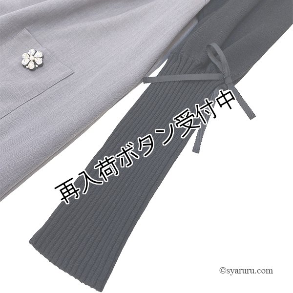 画像5: 【新作 《30%OFF！》SuperBeauty 2025秋冬】レイヤード風切替ワンピース (5)