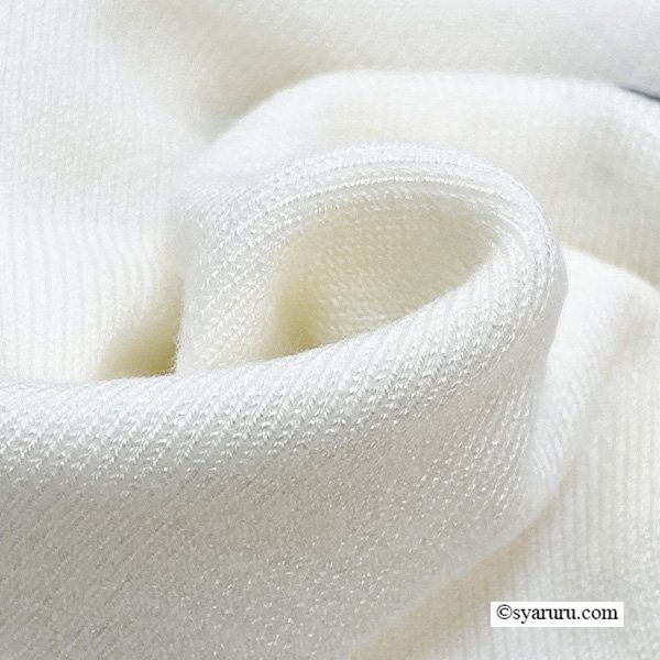 画像11: 【《新作》SuperBeauty クーポン1111(10%OFF)他　利用可】胸元バラ刺繍入りの半袖セーター (11)