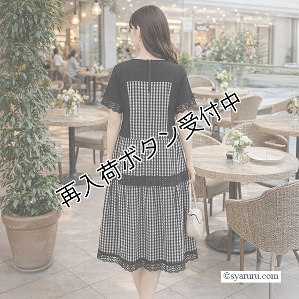画像3: 【SUMMER SALE30％ 2026春夏SuperBeauty】ギンガムチェック切替レース使いワンピース (3)