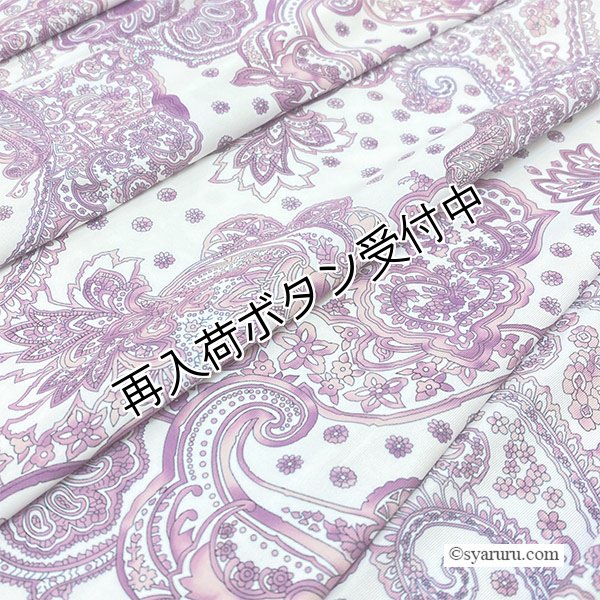 画像13: 【SALE 50％ 2026春夏SuperBeauty】ペイズリー柄Vネックワンピース (13)